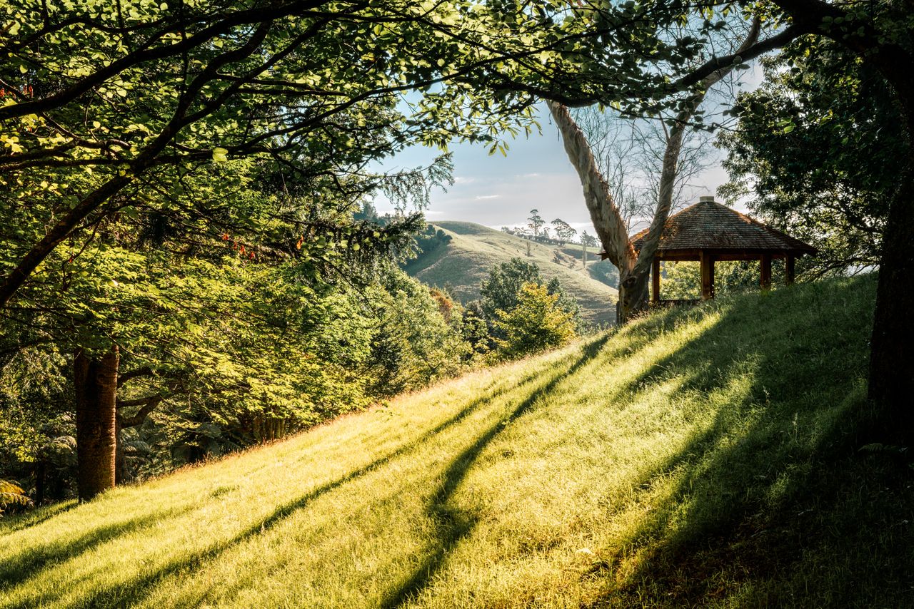 Tranquil landscape with trees, sunlight, and a gazebo on a grassy slope.